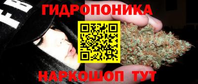 ALPHA PVP Кунгур