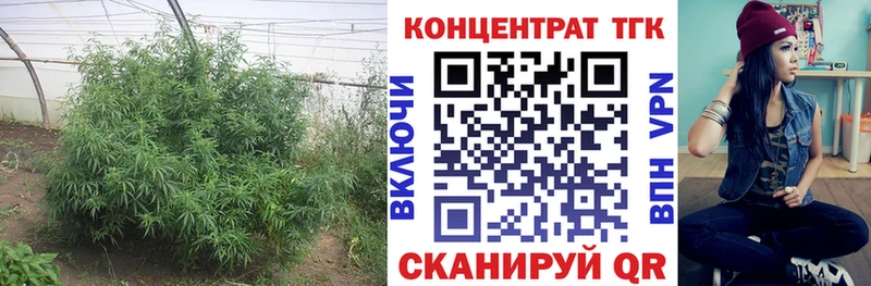 где можно купить наркотик  Екатеринбург  Дистиллят ТГК концентрат 