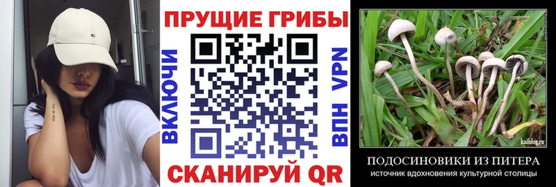 где купить наркоту  Екатеринбург  Галлюциногенные грибы мицелий 